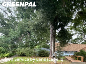 Lawn Mowing nearby Gainesville, FL, 