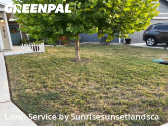 Grass Cutting nearby Seguin, TX, 