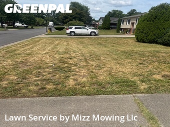 Grass Cutting nearby Salem, VA, 