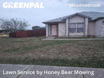 Lawn Cutting in Converse, 78109, Lawn Mowing Service by Honey Bear Mowing, work completed in 19 Nov, 2025 