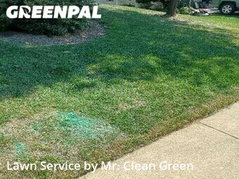 Lawn Care Service nearby Carney, MD, 