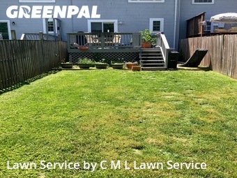 Lawn Cut nearby Abingdon, MD, 