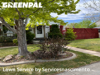 Lawn Cutting nearby South Ogden, VA, 