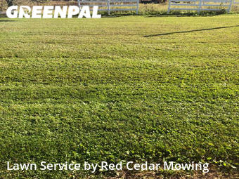 Grass Cut nearby Grand Ledge, MI, 
