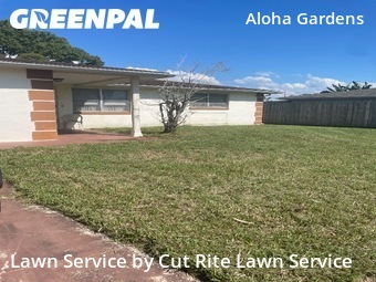 Lawn Care nearby Holiday, FL, 