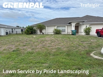 Lawn Mow nearby Cape Coral, FL, 