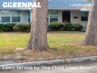 Lawn Mowing nearby Houston, TX, 