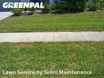 Grass Cutting nearby St. Augustine, FL, 