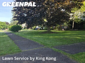 Grass Cutting nearby Rochester, NY, 