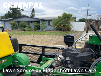 Lawn Cut nearby Holiday, FL, 