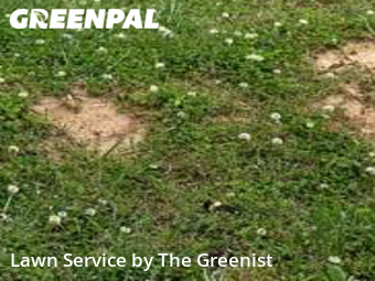 Lawn Mowing Service nearby Columbia, TN, 