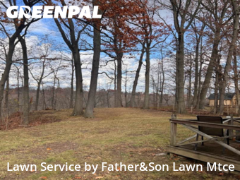 Grass Care in Brook Park, 44142, Lawn Services by Father&Son Lawn Mtce, work completed in Dec , 2025