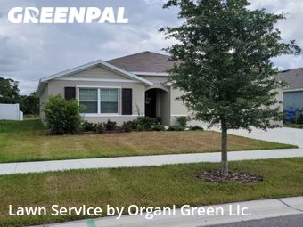 Grass Cutting nearby Riverview, FL, 