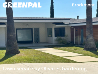 Grass Cutting nearby Glendale, CA, 