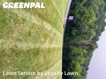 Grass Cutting nearby Lexington, KY, 
