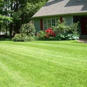 lawn-maintenance-in-Abilene-TX