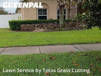 Lawn Care Servicein Ocoee,34761,Lawn Cut by Totos Grass Cutting, work completed in Jun , 2026