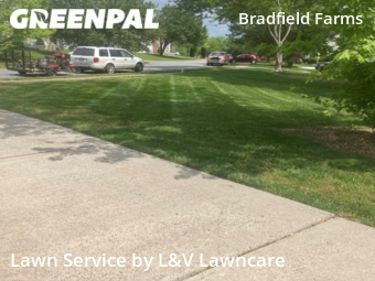 Lawn Mow nearby Charlotte, NC, 