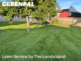 Lawn Maintenance nearby Goose Creek, SC, 