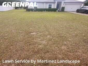 Grass Cut nearby Leesburg, FL, 
