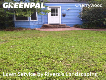 Lawn Mow nearby Austin, TX, 