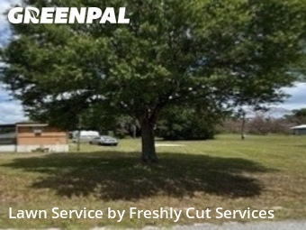 Grass Cutting nearby Lakeland, FL, 