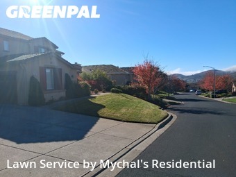 residential-lawn-cutting-businesses-in-Davis-CA