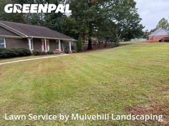 Grass Care in Gardendale, 35071, Yard Mowing by Mulvehill Landscaping, work completed in Nov , 2025