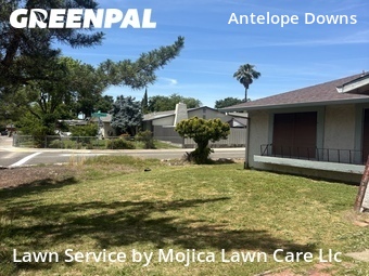 Lawn mowing work completed in Citrus Heights, CA