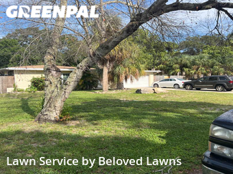 Yard Mowing nearby Tarpon Springs, FL, 