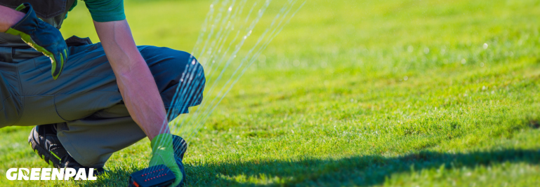 AI in Landscaping: Why 83% of Pros Haven’t Adopted It (Yet)