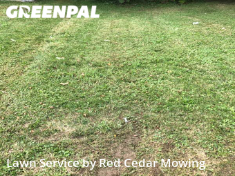 Lawn Mowing Service nearby Lansing, MI, 