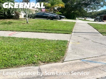 Lawn Service nearby Clearwater, FL, 