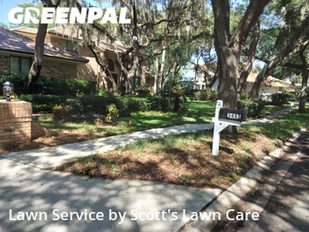 Lawn Mow nearby Palm Harbor, FL, 