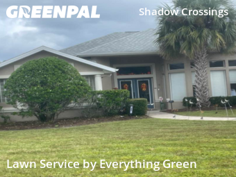 Mowing Services in Ormond Beach, 32174, Lawn Maintenance by Everything Green , work completed in Nov , 2025