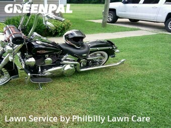 Yard Cutting nearby Greenville, NC, 