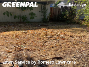 Lawn Mowing Service nearby Citrus Heights, CA, 