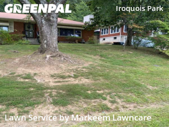 Lawn Cut nearby Louisville, KY, 