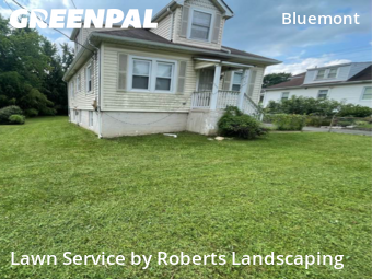 Lawn Care nearby Arlington, VA, 