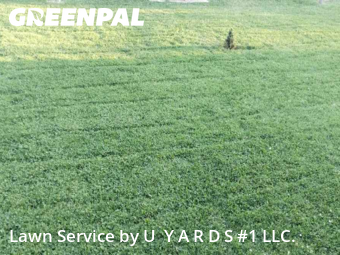 Lawn Cut nearby Riverbank, CA, 