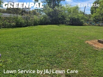 Lawn Cut nearby Houston, TX, 