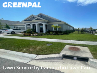 Lawn Cut nearby Apollo Beach, FL, 