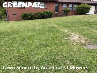 Lawn Care nearby Birmingham, AL, 