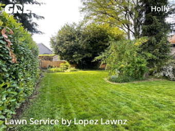 Yard Mowing nearby Everett, WA, 