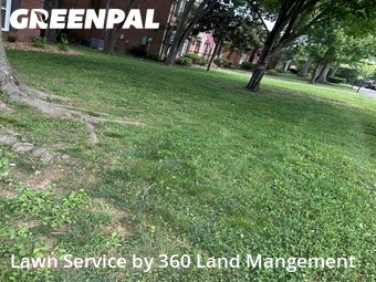 Lawn Maintenance nearby Franklin, TN, 