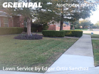 Lawn Cut nearby Plano, TX, 