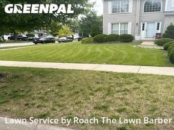 Lawn Maintenance nearby Plainfield, IL, 
