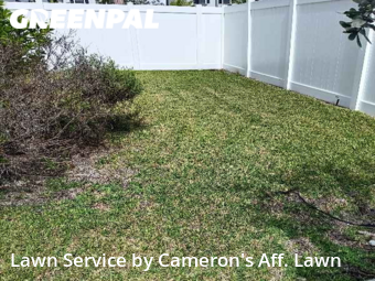 Lawn Mow nearby Miami Gardens, FL, 