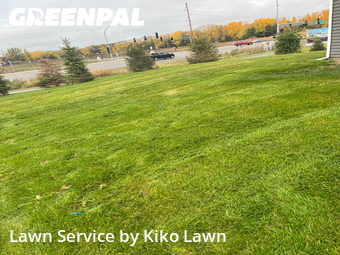 Lawn Mow nearby Lakeville, MN, 