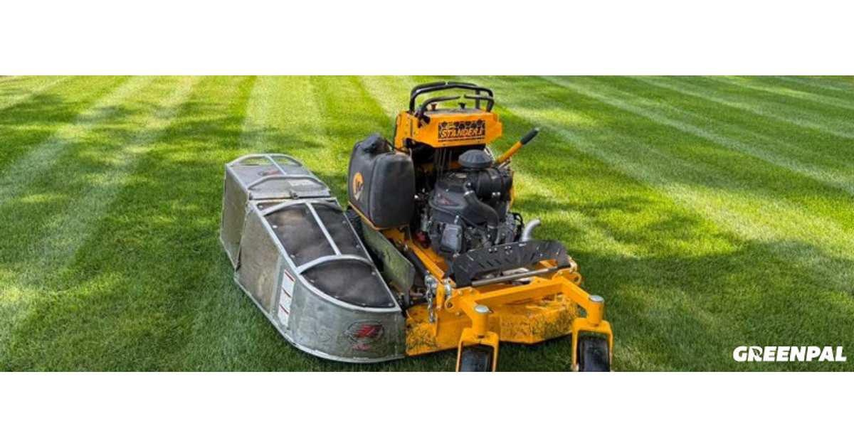 36 Inch Mowers – Are They Worth It? (We asked the pros!) | GreenPal